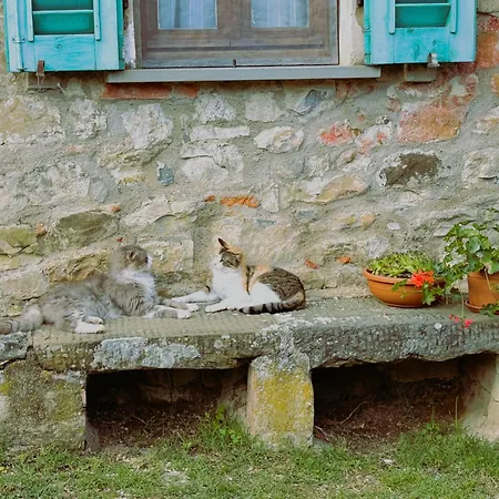 Country house Casa Lina