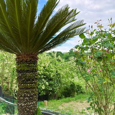 Casa Lina * Levane