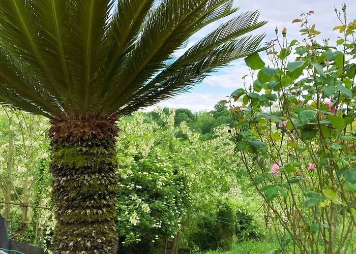 Casa Lina * Levane