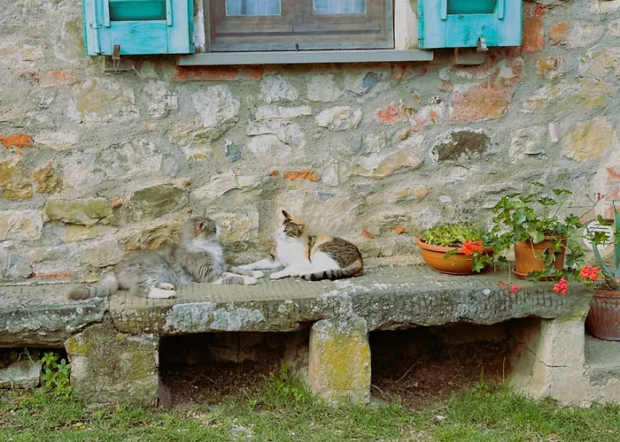Lantställe Casa Lina